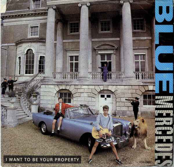Blue Mercedes : I Want To Be Your Property (7", Single)